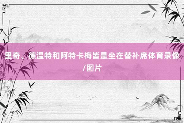 里奇、德温特和阿特卡梅皆是坐在替补席体育录像/图片