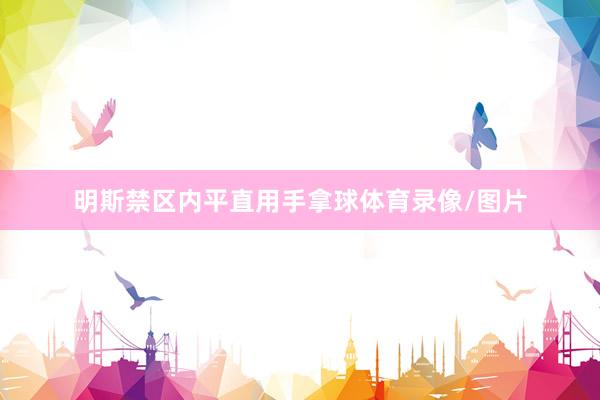 明斯禁区内平直用手拿球体育录像/图片