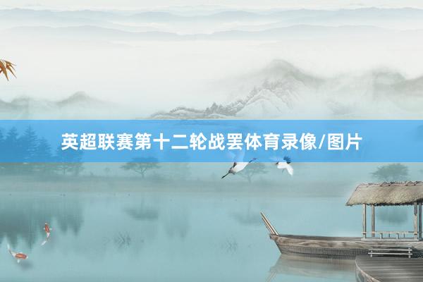 英超联赛第十二轮战罢体育录像/图片