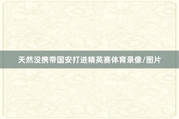 天然没携带国安打进精英赛体育录像/图片