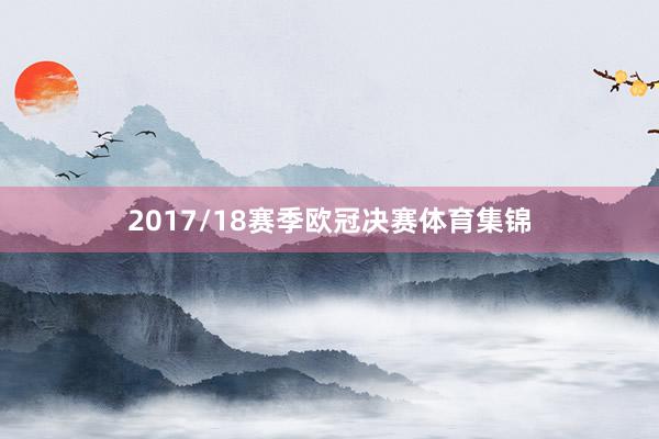 2017/18赛季欧冠决赛体育集锦
