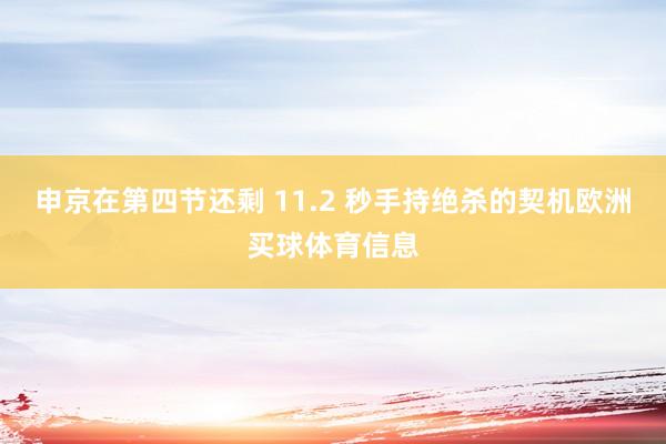 申京在第四节还剩 11.2 秒手持绝杀的契机欧洲买球体育信息