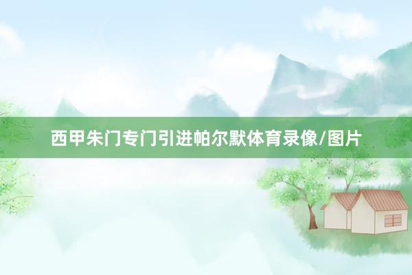 西甲朱门专门引进帕尔默体育录像/图片