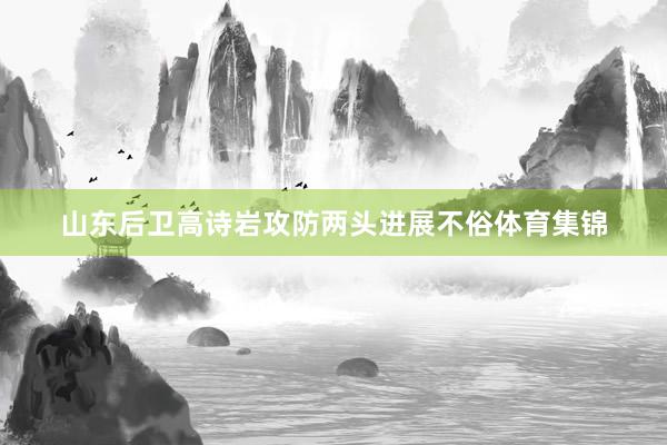 山东后卫高诗岩攻防两头进展不俗体育集锦