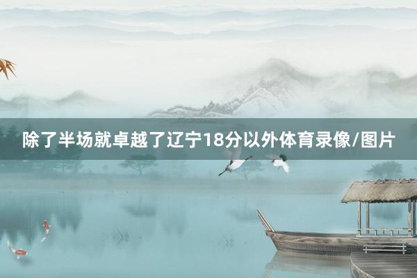 除了半场就卓越了辽宁18分以外体育录像/图片
