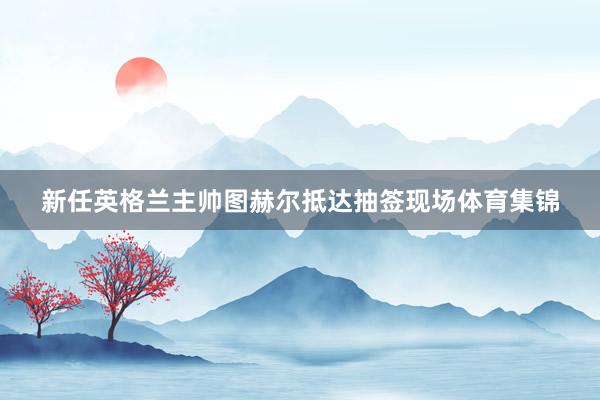 新任英格兰主帅图赫尔抵达抽签现场体育集锦