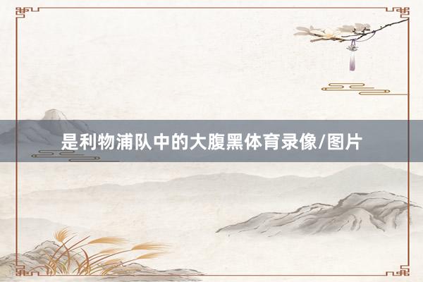 是利物浦队中的大腹黑体育录像/图片