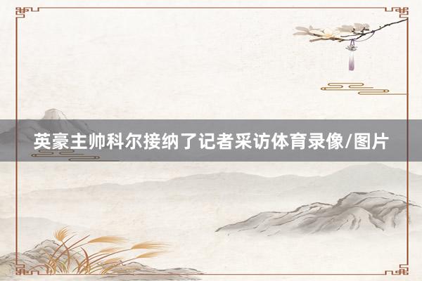 英豪主帅科尔接纳了记者采访体育录像/图片