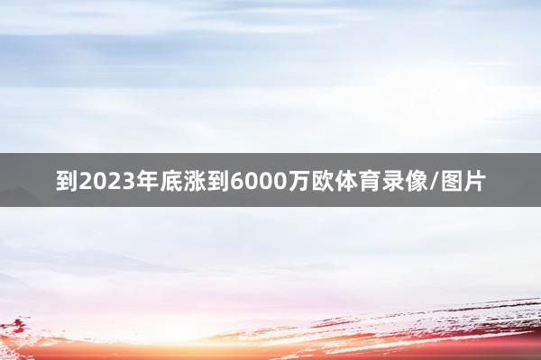 到2023年底涨到6000万欧体育录像/图片
