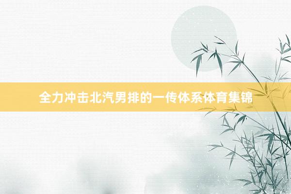 全力冲击北汽男排的一传体系体育集锦