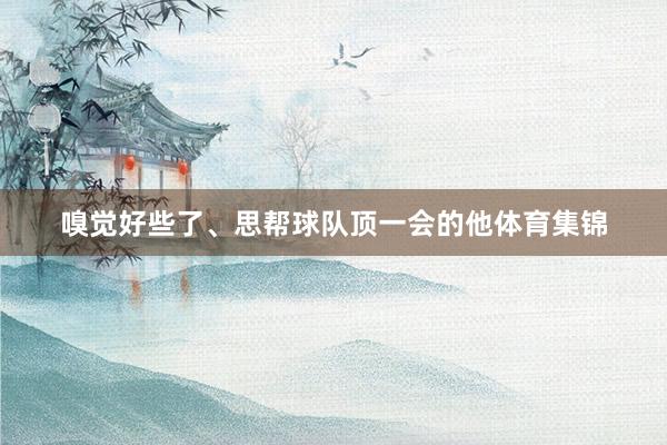 嗅觉好些了、思帮球队顶一会的他体育集锦