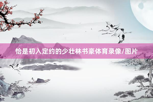 恰是初入定约的少壮林书豪体育录像/图片