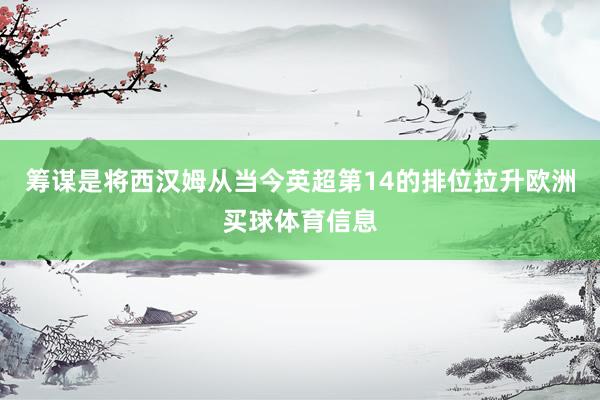 筹谋是将西汉姆从当今英超第14的排位拉升欧洲买球体育信息