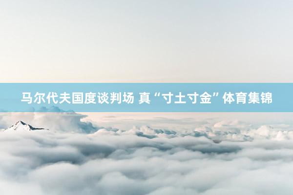 马尔代夫国度谈判场 真“寸土寸金”体育集锦