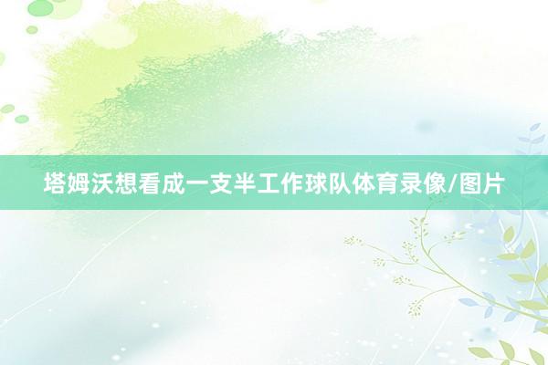 塔姆沃想看成一支半工作球队体育录像/图片