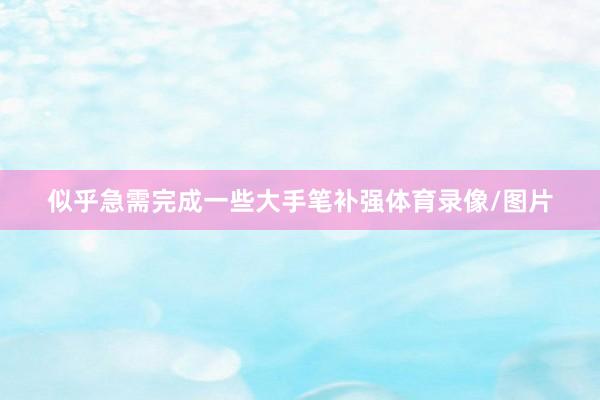 似乎急需完成一些大手笔补强体育录像/图片