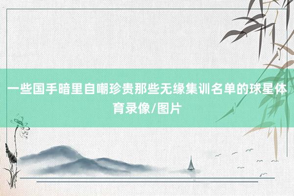 一些国手暗里自嘲珍贵那些无缘集训名单的球星体育录像/图片