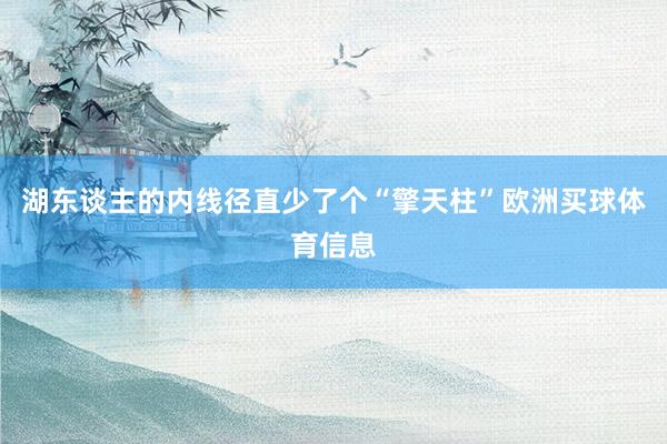 湖东谈主的内线径直少了个“擎天柱”欧洲买球体育信息