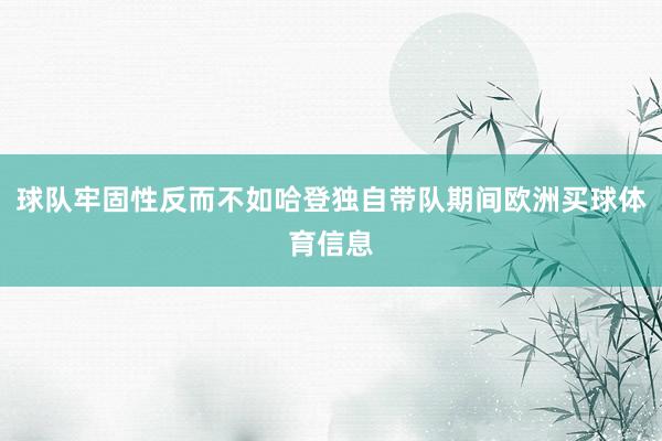 球队牢固性反而不如哈登独自带队期间欧洲买球体育信息
