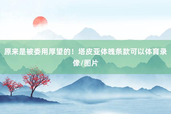原来是被委用厚望的！塔皮亚体魄条款可以体育录像/图片