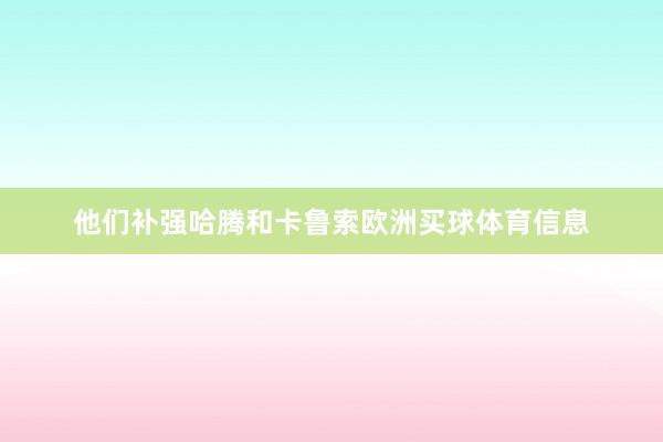 他们补强哈腾和卡鲁索欧洲买球体育信息