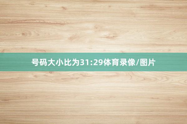 号码大小比为31:29体育录像/图片