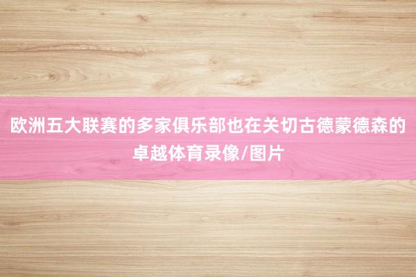 欧洲五大联赛的多家俱乐部也在关切古德蒙德森的卓越体育录像/图片