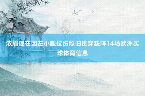 浓眉现在因左小腿拉伤照旧贯穿缺阵14场欧洲买球体育信息