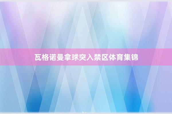 瓦格诺曼拿球突入禁区体育集锦