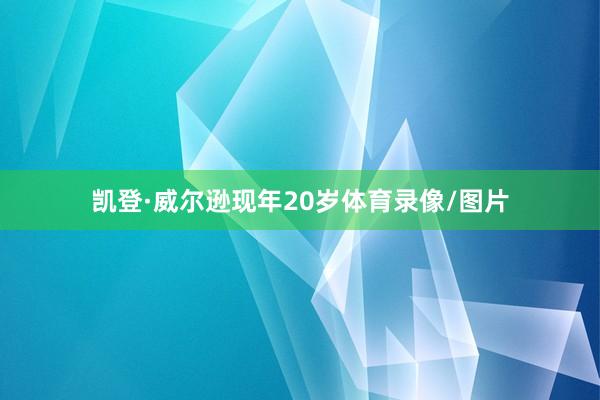 凯登·威尔逊现年20岁体育录像/图片