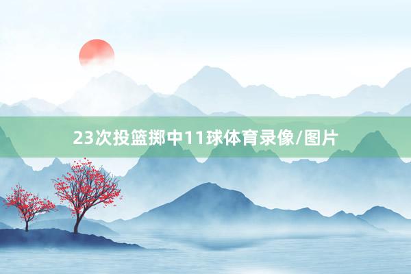 23次投篮掷中11球体育录像/图片