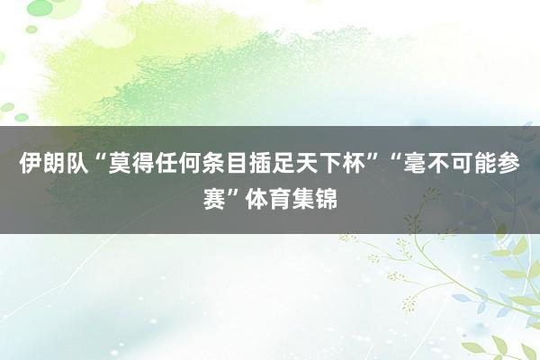 伊朗队“莫得任何条目插足天下杯”“毫不可能参赛”体育集锦