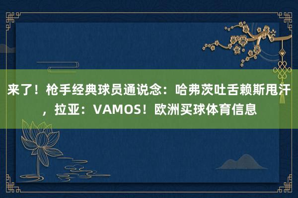来了！枪手经典球员通说念：哈弗茨吐舌赖斯甩汗，拉亚：VAMOS！欧洲买球体育信息
