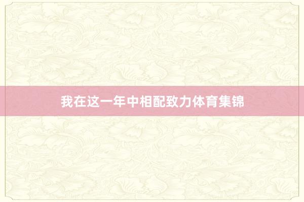 我在这一年中相配致力体育集锦