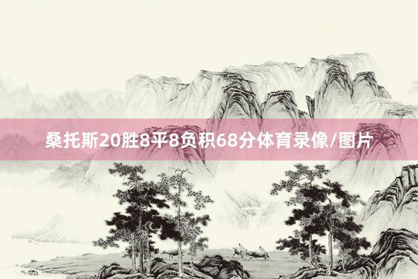 桑托斯20胜8平8负积68分体育录像/图片
