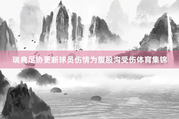 瑞典足协更新球员伤情为腹股沟受伤体育集锦