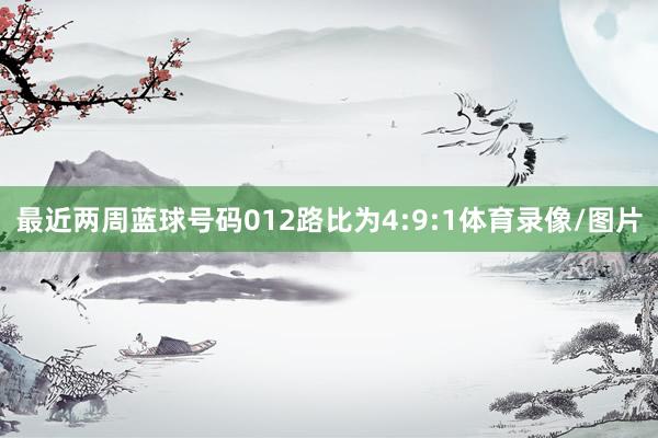 最近两周蓝球号码012路比为4:9:1体育录像/图片
