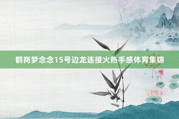 鹤岗梦念念15号边龙连接火热手感体育集锦