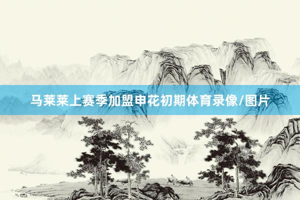 马莱莱上赛季加盟申花初期体育录像/图片