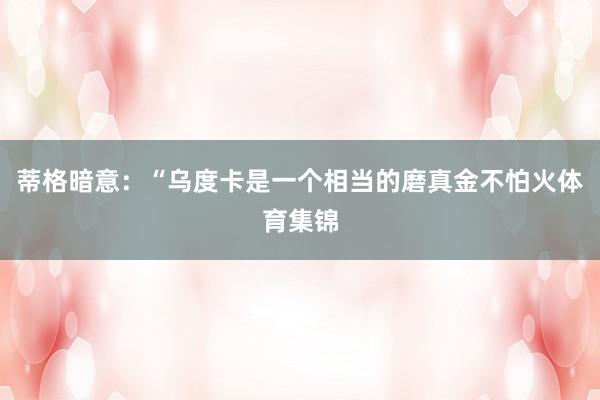 蒂格暗意：“乌度卡是一个相当的磨真金不怕火体育集锦