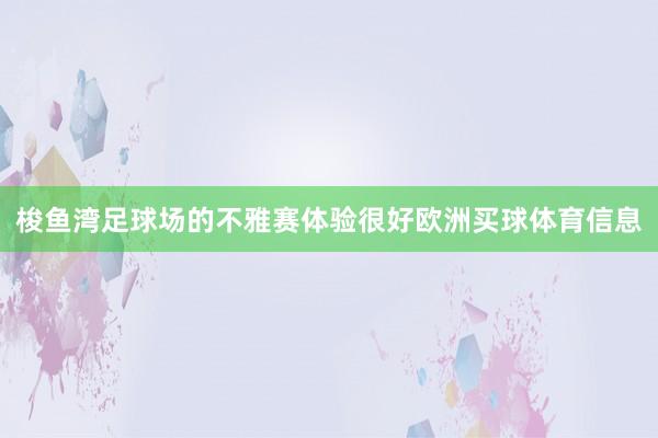梭鱼湾足球场的不雅赛体验很好欧洲买球体育信息