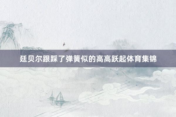 廷贝尔跟踩了弹簧似的高高跃起体育集锦