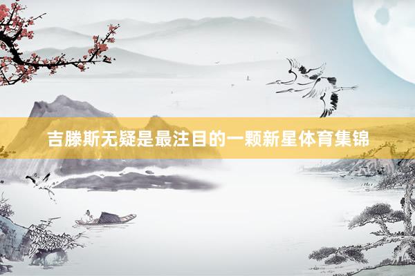 吉滕斯无疑是最注目的一颗新星体育集锦