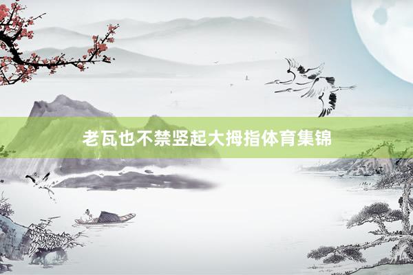 老瓦也不禁竖起大拇指体育集锦