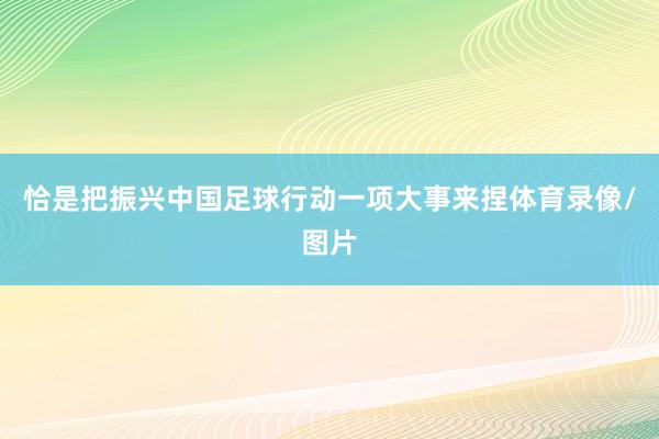 恰是把振兴中国足球行动一项大事来捏体育录像/图片