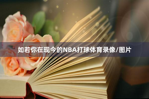 如若你在现今的NBA打球体育录像/图片