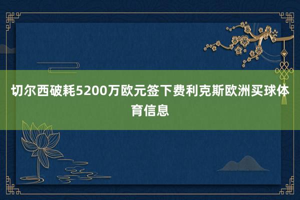 切尔西破耗5200万欧元签下费利克斯欧洲买球体育信息