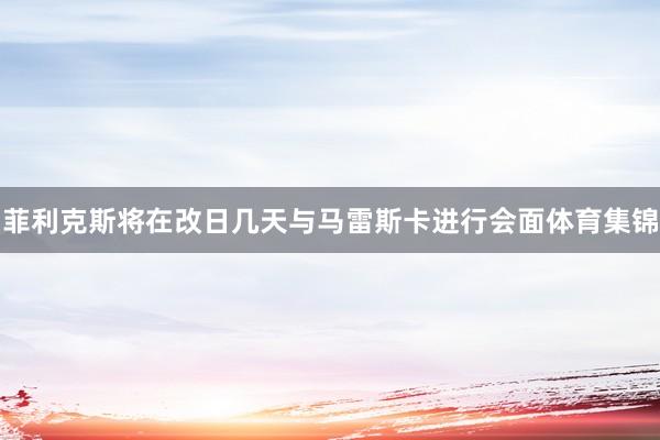 菲利克斯将在改日几天与马雷斯卡进行会面体育集锦