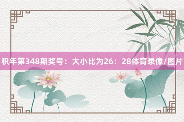 积年第348期奖号：大小比为26：28体育录像/图片