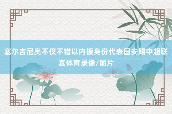 塞尔吉尼奥不仅不错以内援身份代表国安踢中超联赛体育录像/图片